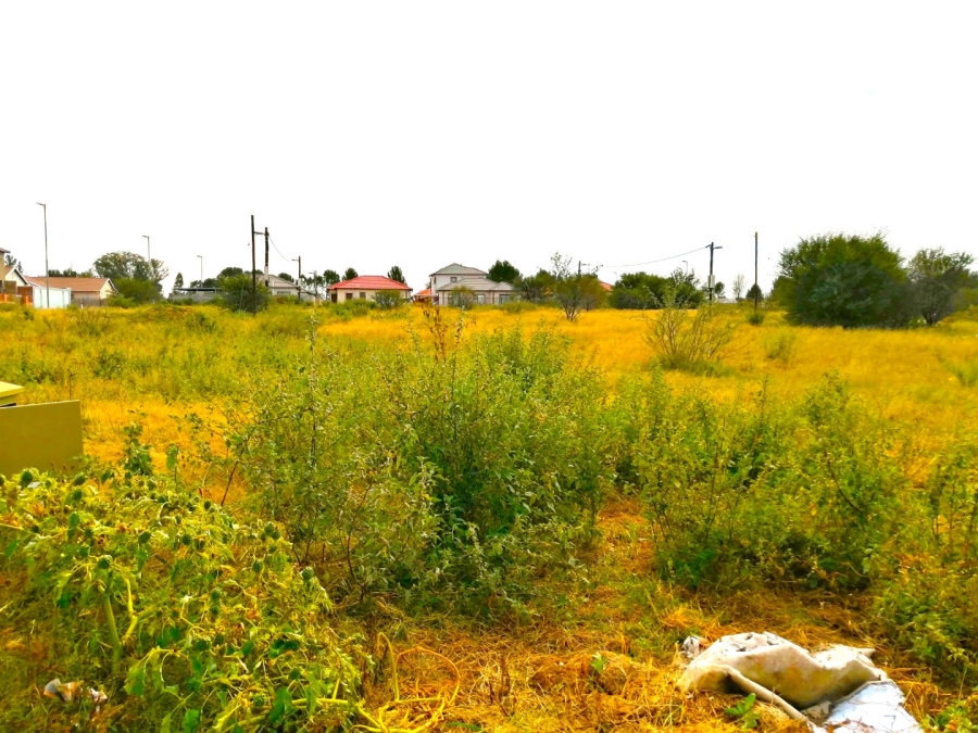 3 Bedroom Property for Sale in Raceway Free State